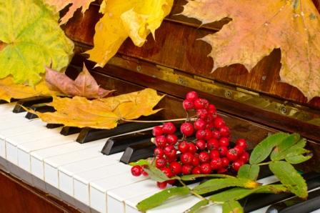 FESTIVAL DEI PIANOFORTI DI STRADA 1.jpg