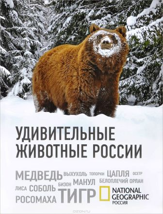 GLI ANIMALI MERAVIGLIOSI DELLA RUSSIA 1.jpg
