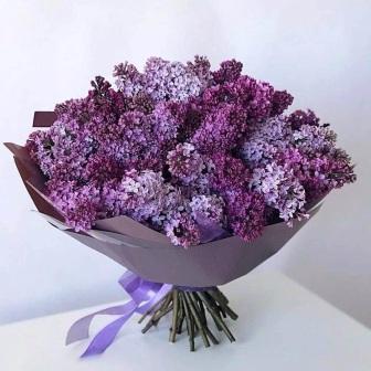 I lill ora fioriscono.jpg