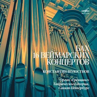 Konstantin Volostnov organista russo 2.jpg