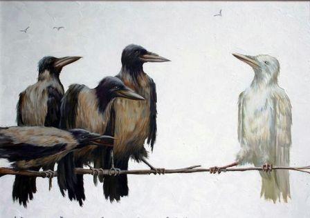 UNA CORNACCHIA BIANCA.jpg