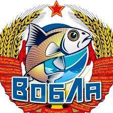 VOBLA 1.jpg