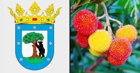 IL CORBEZZOLO ALL’ORTO BOTANICO DI MOSCA».jpg