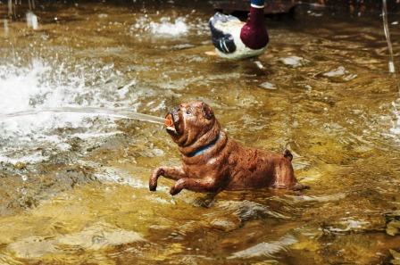 LA FONTANA AMATA DI CATERINA LA PRIMA 3.jpg