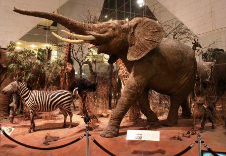 MUSEO DARWINIANO 2.jpg
