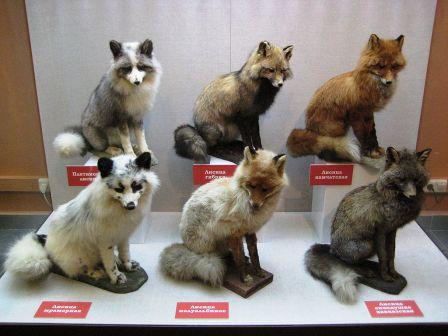 MUSEO DARWINIANO 5.jpg
